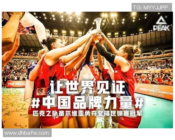 杭州排球队的力量探秘：激情与团结铸就辉煌成就